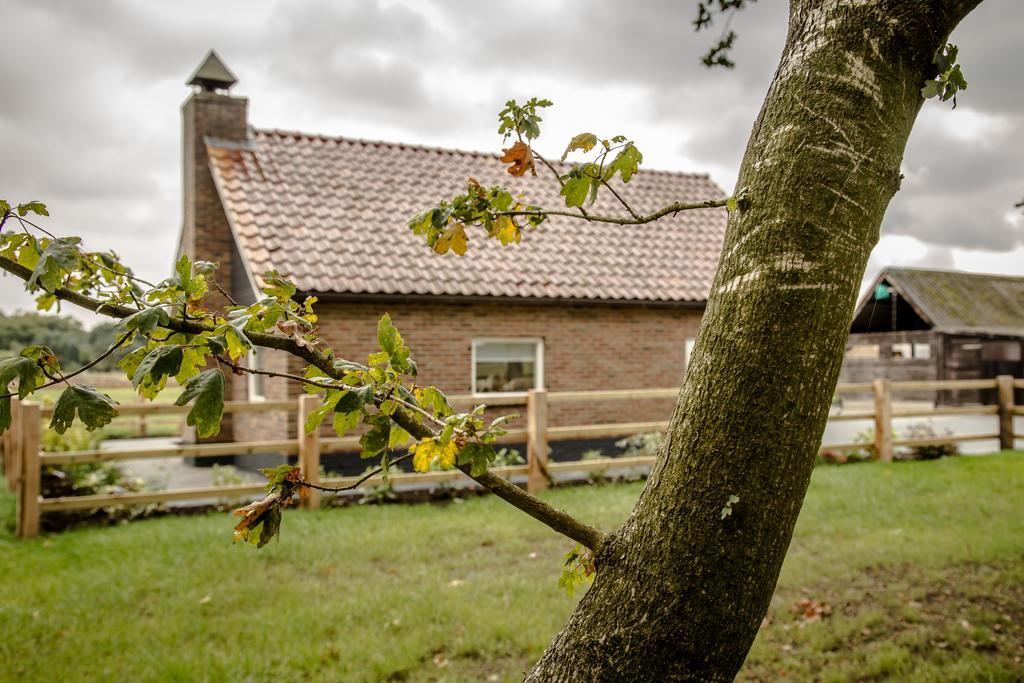 Villa Het Kleine Landgoed Haarle Esterno foto