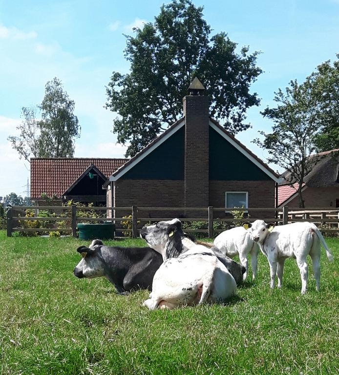 Villa Het Kleine Landgoed Haarle Esterno foto